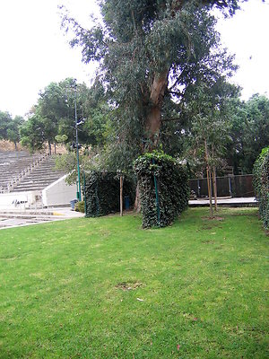 19 Oxy Amphitheater