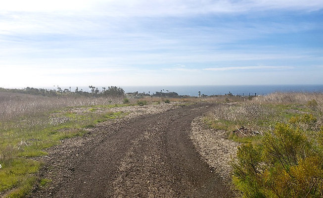 MHS-undeveloped land