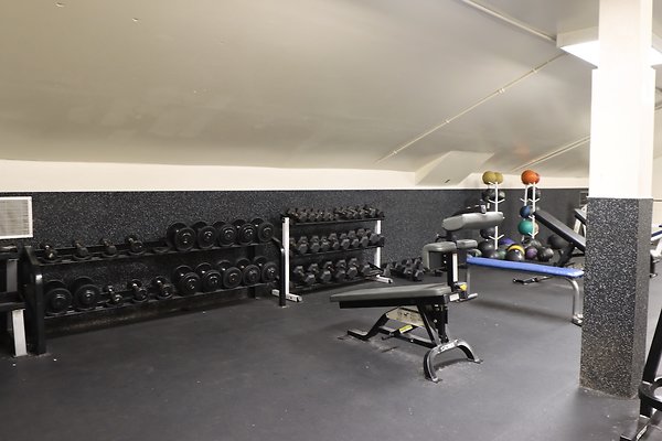 samohi Weights - 5 of 18