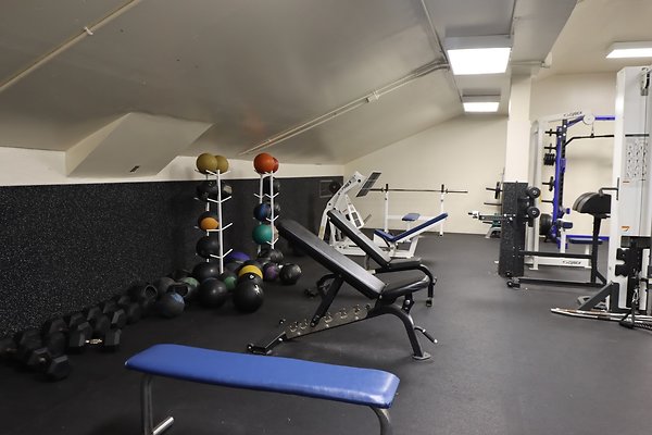 samohi Weights - 7 of 18