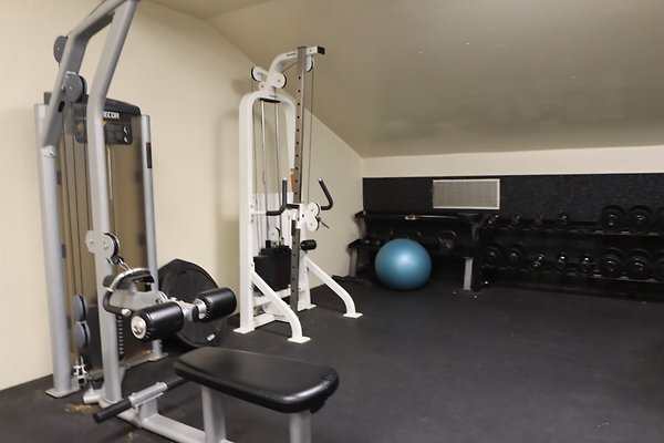 samohi Weights - 4 of 18
