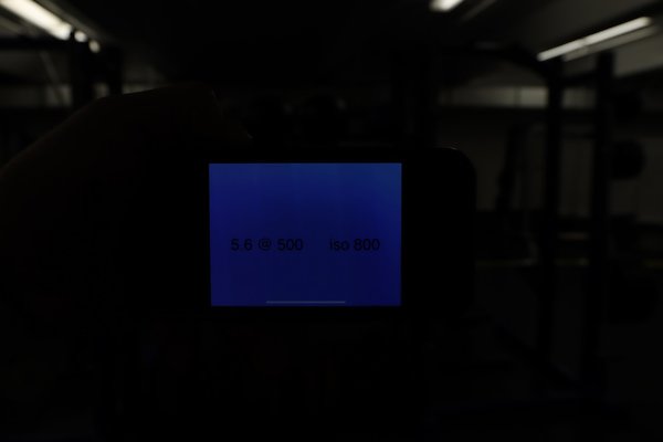 samohi Weights 1 - 18 of 38