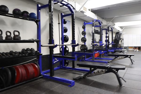 samohi Weights 1 - 4 of 38