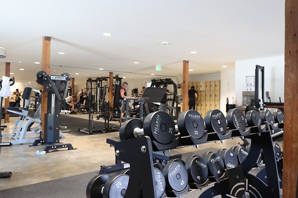 Pharos Gym Weights 2 - 16 of 29