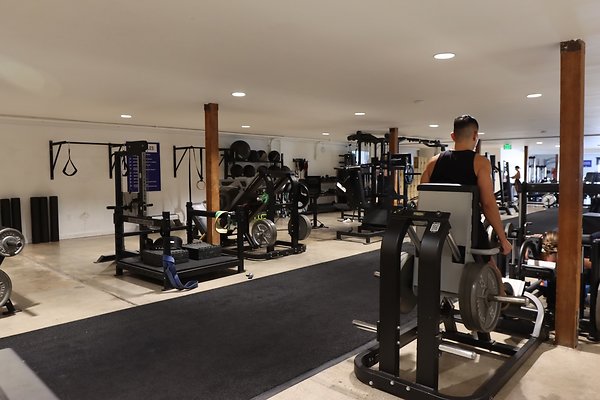 Pharos Gym Weights 2 - 8 of 29