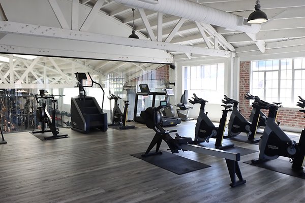 Pharos Gym UpperMain Cardio