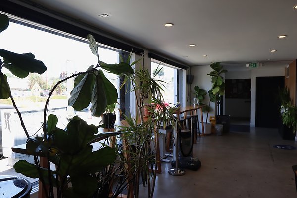Pharos Gym  Lobby - 4 of 15