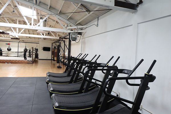 PharosGym BoxingWeights Upstairs - 39 of 95