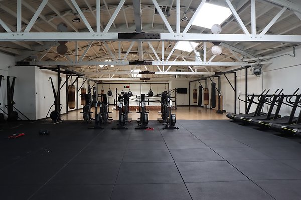 PharosGym BoxingWeights Upstairs - 62 of 95