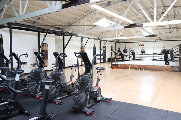 PharosGym BoxingWeights Upstairs - 90 of 95