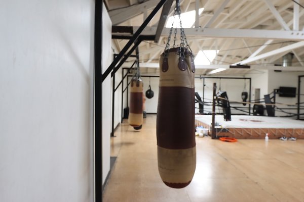 PharosGym BoxingWeights Upstairs - 26 of 95