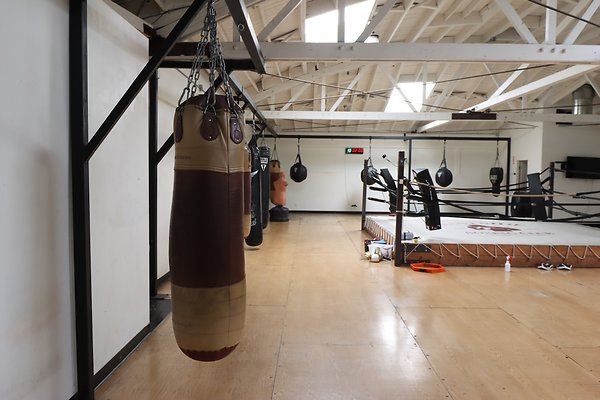 PharosGym BoxingWeights Upstairs - 17 of 95