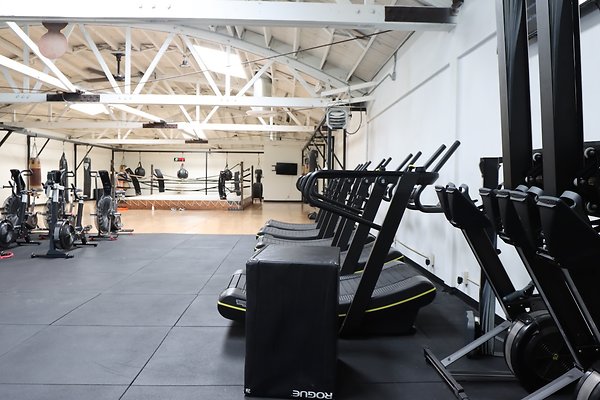 PharosGym BoxingWeights Upstairs - 40 of 95