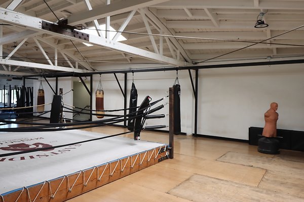 PharosGym BoxingWeights Upstairs - 6 of 95