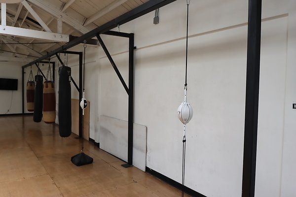 PharosGym BoxingWeights Upstairs - 13 of 95