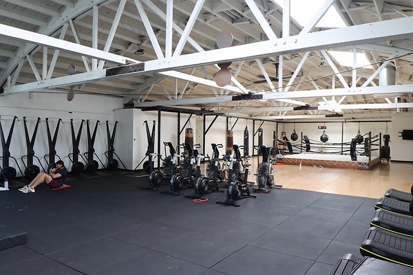 PharosGym BoxingWeights Upstairs - 41 of 95