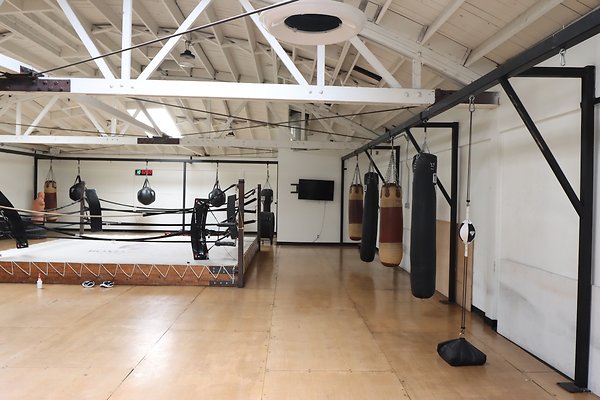 PharosGym BoxingWeights Upstairs - 14 of 95