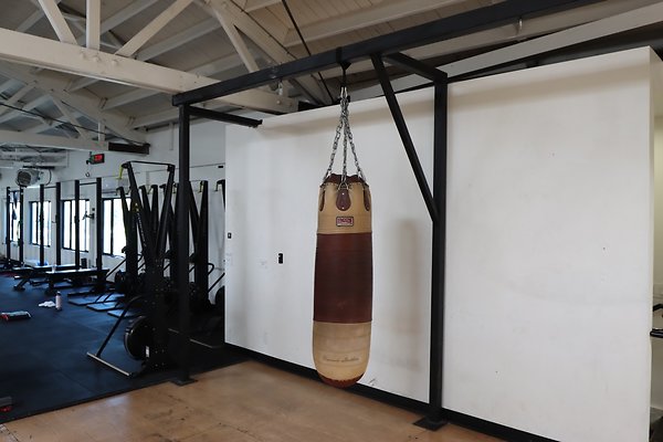 PharosGym BoxingWeights Upstairs - 25 of 95