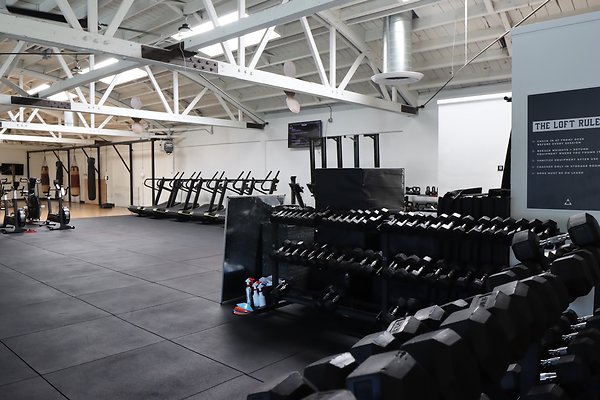 PharosGym BoxingWeights Upstairs - 59 of 95