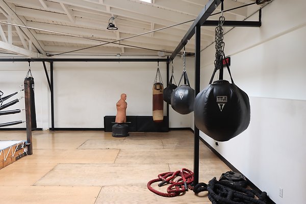 PharosGym BoxingWeights Upstairs - 5 of 95