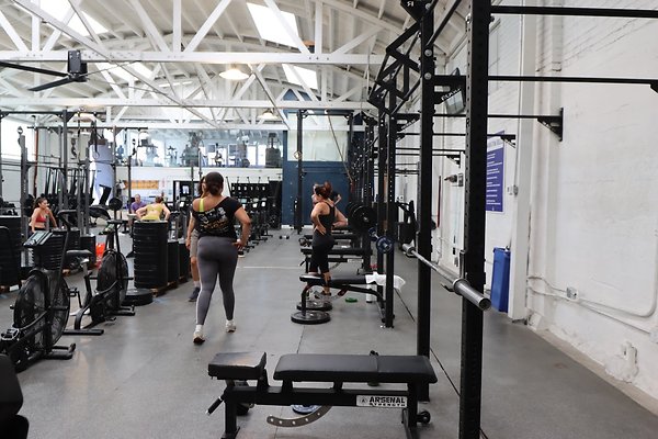 Pharos Gym MainWeightRoom - 24 of 67