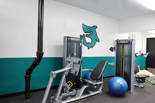 MalibiHigh WeightRoom 2 - 16 of 29