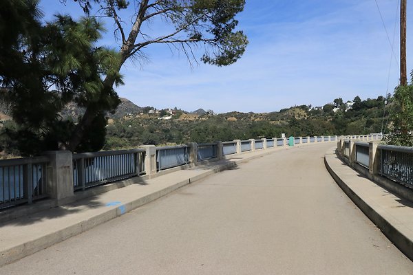 LakeHollywood