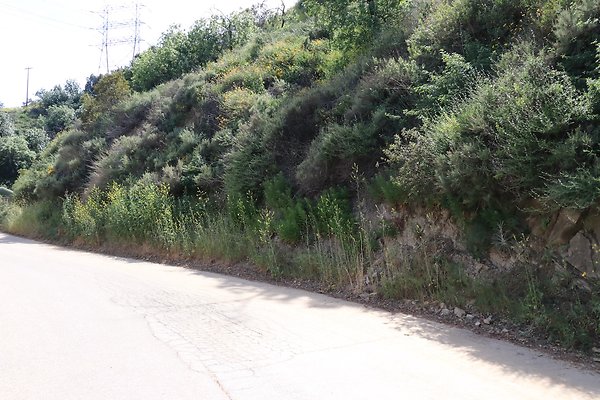 LakeHollywood - 90 of 95 LakeHollywood - 90 of 95