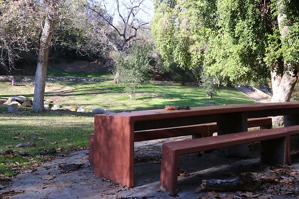 OldZoo Picnic