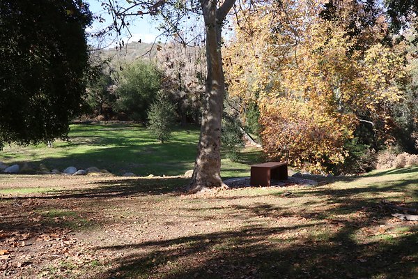 OldZoo Picnic - 03