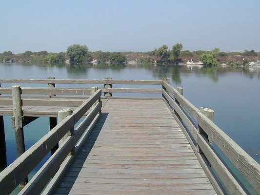 Santa Fe Dam Lake - 28