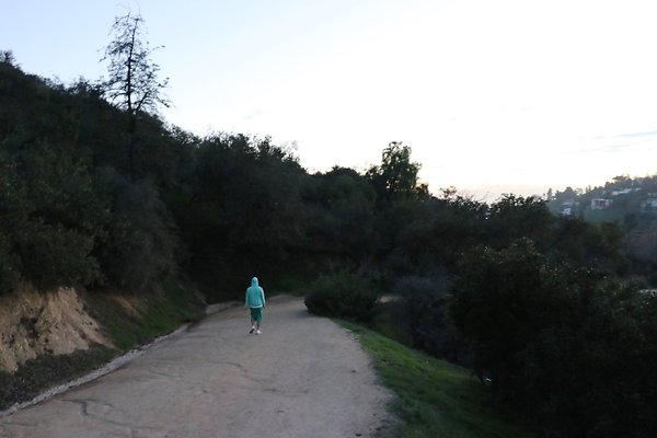 ObservatoryTrail East - 27 ObservatoryTrail East - 27