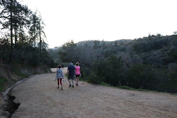 ObservatoryTrail East - 37 ObservatoryTrail East - 37