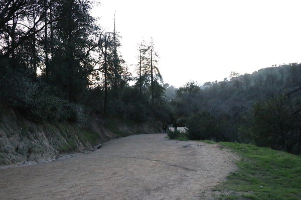 ObservatoryTrail East - 42 ObservatoryTrail East - 42