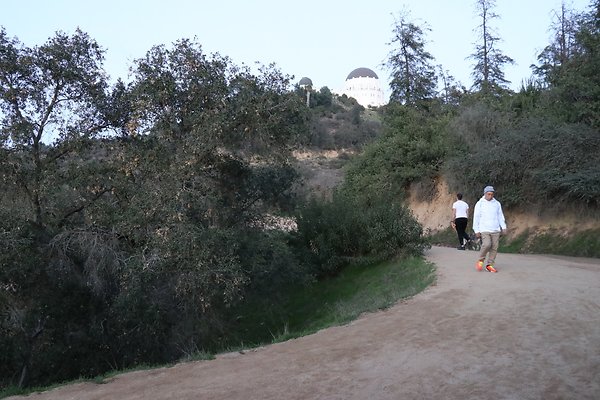 ObservatoryTrail East - 22 ObservatoryTrail East - 22