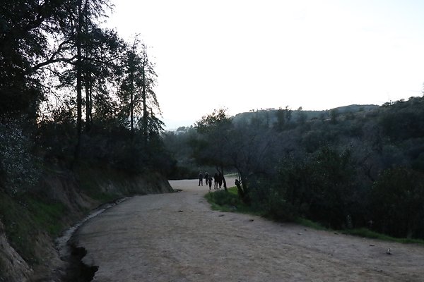 ObservatoryTrail East - 34 ObservatoryTrail East - 34