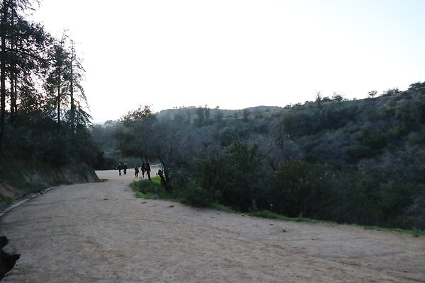 ObservatoryTrail East - 35 ObservatoryTrail East - 35