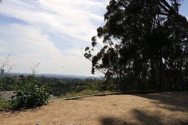 ElysianFields a - 014