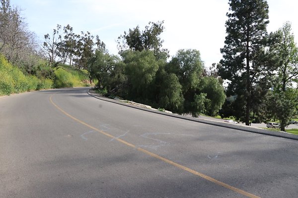 AngelesPtRd overlook b - 05