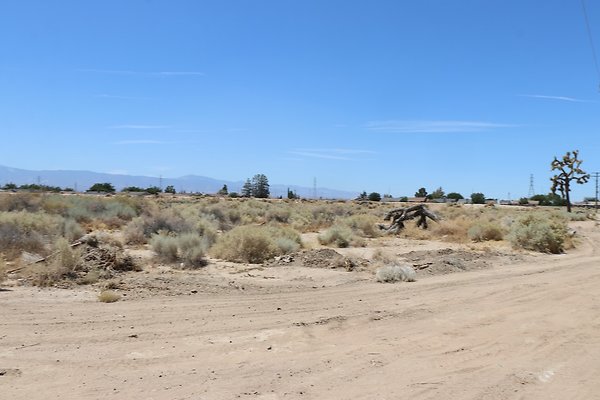 Adelanto Chamberlaine BusStop - 26 of 40