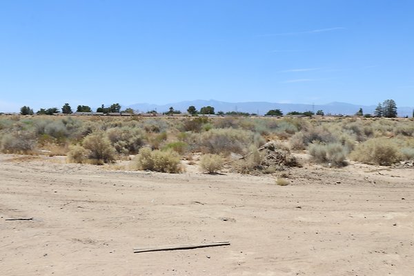 Adelanto Chamberlaine BusStop - 25 of 40