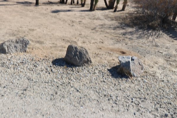 SaddleBackButte SP - 40
