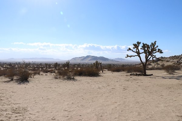SaddleBackButte SP - 20