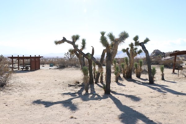 SaddleBackButte SP - 41