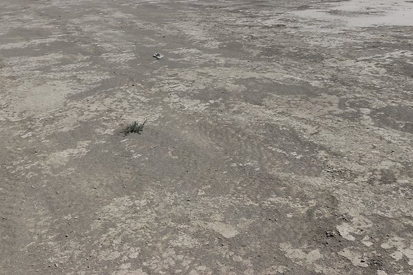 ElMirage Lake 1 - 19 of 48