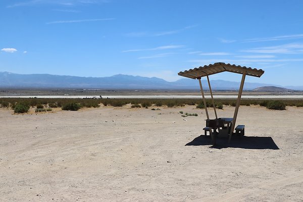 ElMirage Picnic 1 - 10 of 33