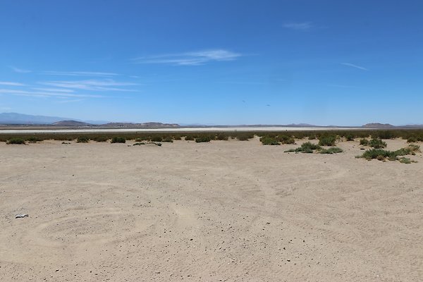 ElMirage Picnic 1 - 4 of 33