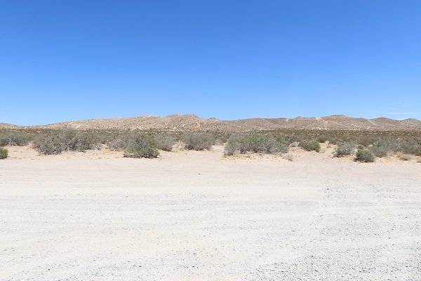ElMirage Picnic 1 - 26 of 33