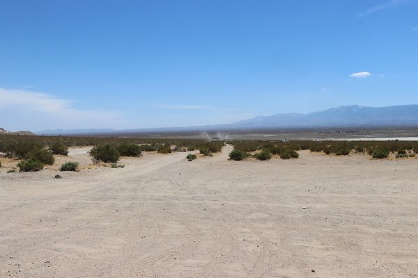 ElMirage Picnic 1 - 6 of 33