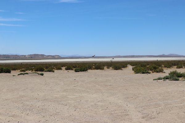 ElMirage Picnic 1 - 3 of 33
